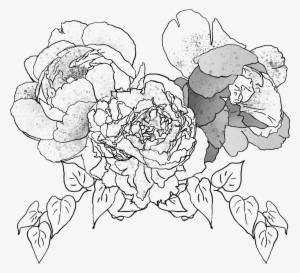 Despite A Few Jeepneys Spewing Exhaust Fumes, The Famed - Dos Castillas Street