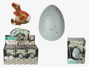 Big Buy Water Dinosaur Egg