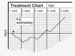 The First Night Begins On The Fat Horizontal Line , - Non-uniform Rational B-spline