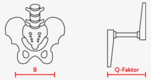 Woom Q Factor - Q Faktor