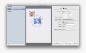 Selecting Areas To Scan - Image Scanner