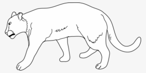 White Lion Clipart Mammal - Lioness Clipart Black And White