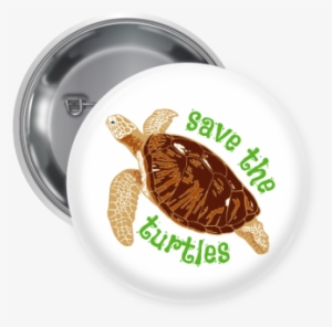 Save The Turtles Pin Backed Button - Green Sea Turtle
