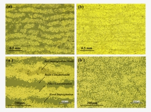 Cross Section Of Cf/nylon 6 Laminates (a') And Cf/epoxy