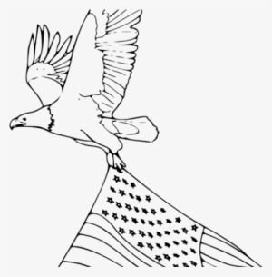 Drawn Bald Eagle Flying Eagle - Drawings American Flag With Eagle