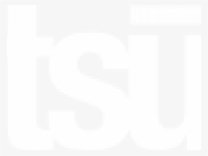 Dragon Quest X Fellow Monster Plush: Suyasuya Heal