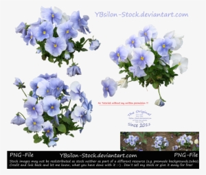 Mauve Violet By Ybsilon-stock On Deviantart - February 8