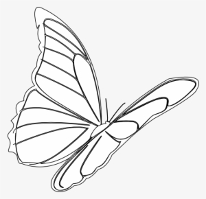 How To Set Use Butterfly Flying Svg Vector