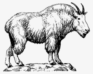 How To Set Use Mountain Goat Svg Vector
