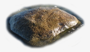 Here's A Few More Wet Rocks - Igneous Rock