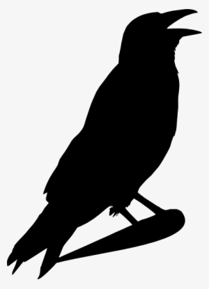 Black Crow Png Image - Clip Art Of Crow