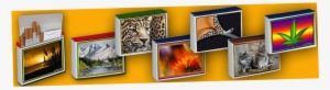Case - Cigarette Box - Case - Cigarette Box - Illustration