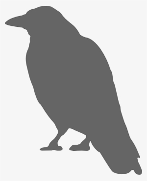 Gray Crow Svg Clip Arts 480 X 594 Px