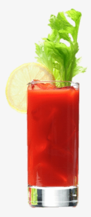 Bloody Mary - Bloody Maria Cocktail No Background