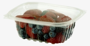 World Centric Clear, Rectangular Deli