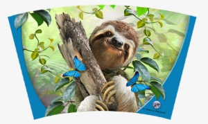 Sloth - Tree-free Greetings Eco Coasters Box Set Selfie (ec96903)