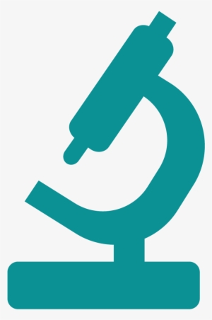 Real Birds Png - Recherche Scientifique Png