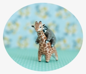 Giraffe And Sloth