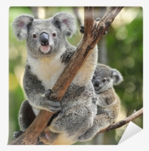 Australian Koala Bear With Her Baby, Sydney, Australia - Koala Pendant Of Yellow Gold 18 K- Artisan Product