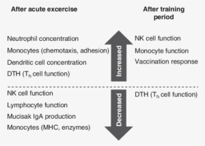 Summary Of Observed Immunological Alterations With - Osteopenie Osteoporose T Score
