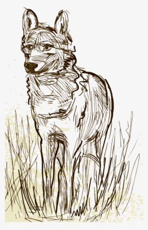 Under An Empresario Contracts, A Family Could Purchase - Wolf