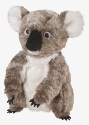 Douglas Aussie Koala