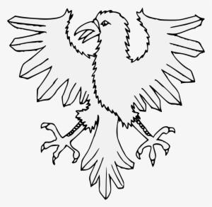Details, Png - Kite