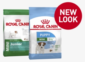Mini Puppy - Royal Canin Junior Mini
