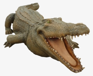 Crocodile Free Png Transparent Background Images Free - Philippine Crocodile Png