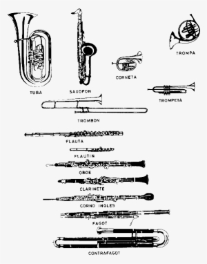 Image006 - Brass Instrument