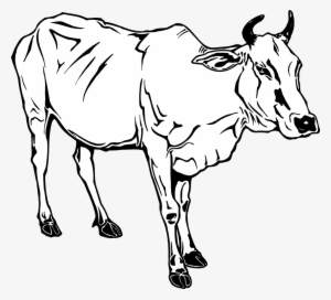 Cow Clipart Black And White - 牛 牽 到 北京 還是 牛