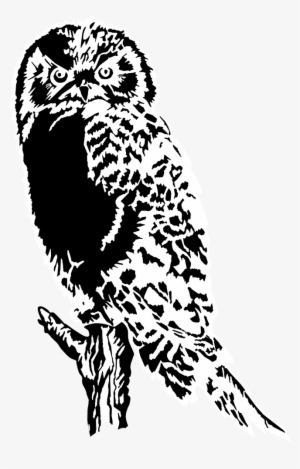 Drawing Of Owl Black White Png, Great Horned Owl - Owl Silhouette