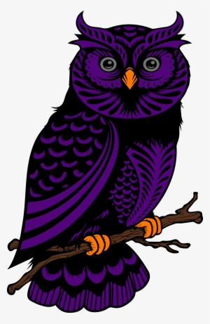 Owl Vector - Owl Vector Hd Images Png