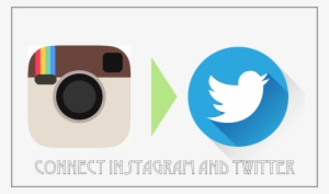 How To Display The Posts Conected On Instagram Directly - Photography