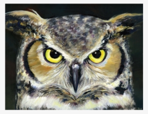 Owl Eyes Print