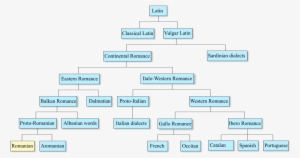 Romance Languages And Romanian - Romanian Language Family Tree