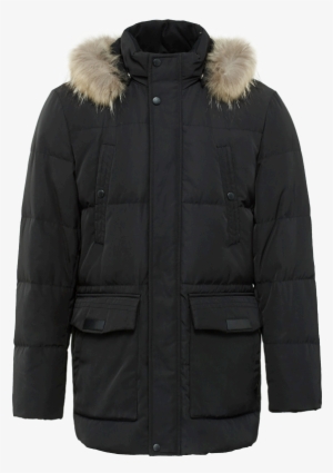 Warm Coat Transparent Background Png - Stone Island Puffy Jacket