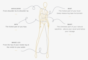 Size Guide Measurement Terms - Diagram