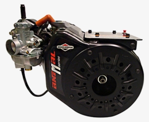 Briggs Racing M-series Engine - Briggs & Stratton Animal
