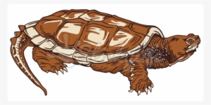 Common Snapping Turtle Static Cling - Nixon Team Trucker Hat Men's