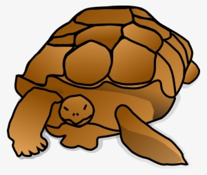 Snapping Turtle Clipart 6 By Andrea - Turtle Cartoon
