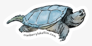 Cranberry Lake Stickers Designed By Zoya Baker Yellow - Cranberry Lake, New York