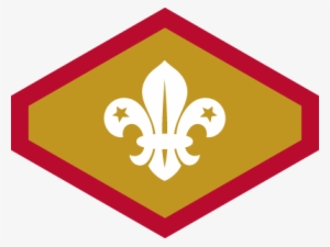 Published 1st July 2018 At 400 × 301 In - Chief Scout Bronze Award