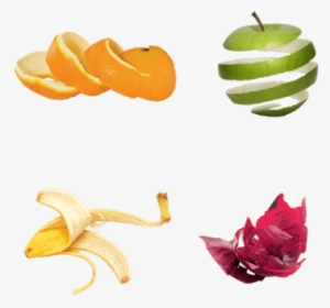 Fruit And Vegetable Peels - Orange Peel