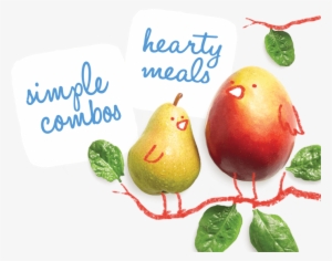 Fruit Veggie Chicken Protein Puree Happy Family Organics