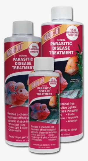 F1999 - Parrot Fish Diseases