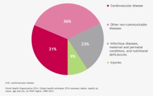 Cardiovascular Disease Is A Major Cause Of Death Worldwide - Tenecteplase