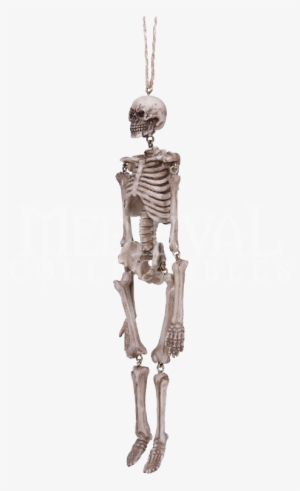 Hanging Skeleton Statue - Skeleton