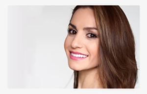 Dogs Brushing Teeth - The Smile Stylist