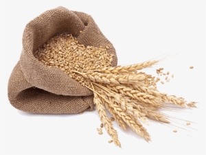 Local Wheat Flour - Bag Of Grain